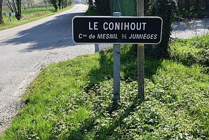 2 - Le conihout