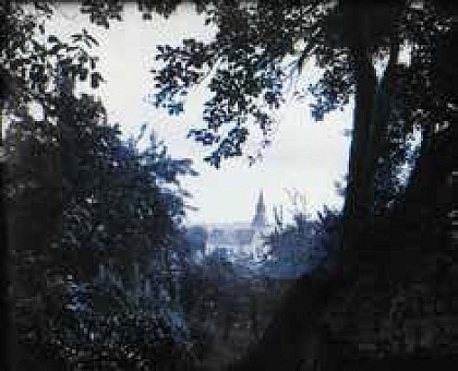 8 – LES FORETS