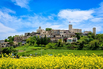 Saint-Vincent-de-Barrès : Village de caractère