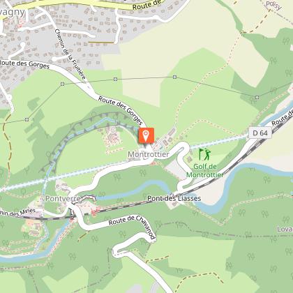 Prunus serrulata "Matsumae Shizuka