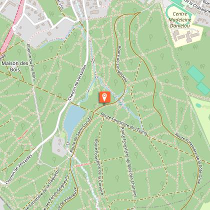 The forest of the Domain of Malmaison