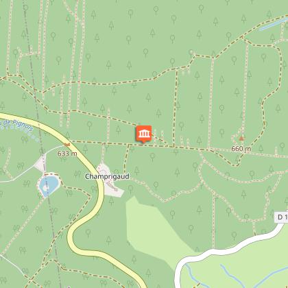 Pupitre pédagogique du frêne commun