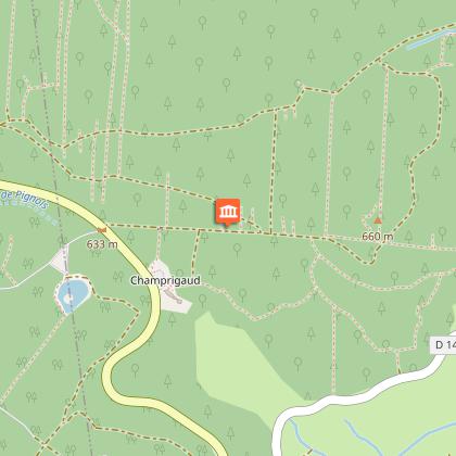 Pupitre pédagogique du sapin commun