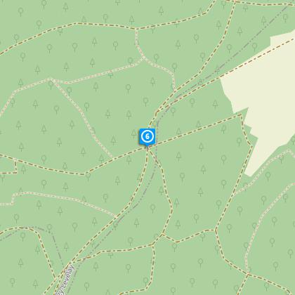 Forêt de Nanteau Parcours marche Treuzylevelay Cirkwi