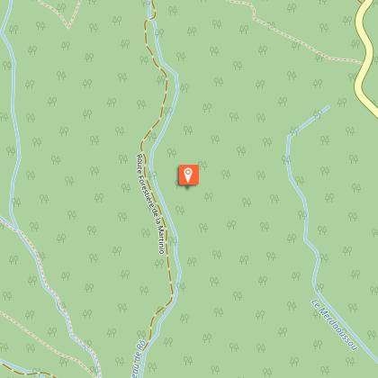 The forest of Grésigne