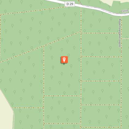 Forêt Domaniale de Saint-Sauvant