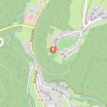 Gîtes du Coucou - Le Valsberg