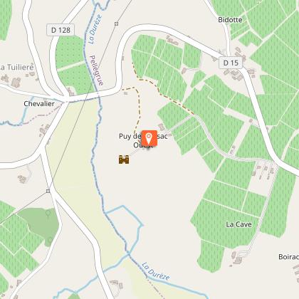 Château du Puch de Gensac