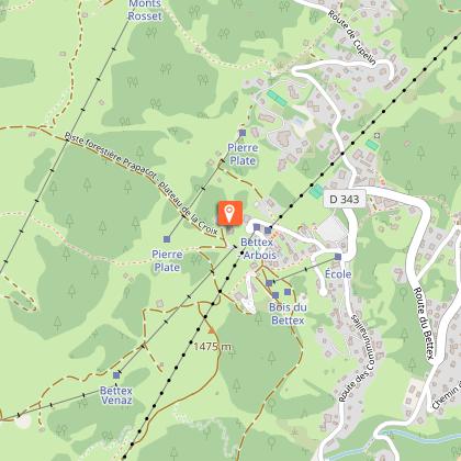 Restaurant La Flèche d'Or