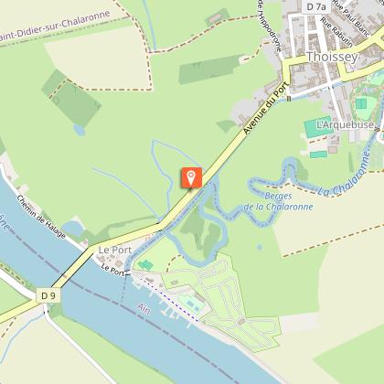 the Alley of the Port and its Plane trees