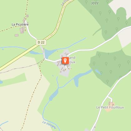 Terrier du Fouilloux