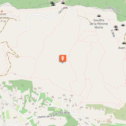 "Le Gros Cerveau" forest massif