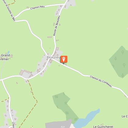 Beaulieu Sunflowers campsite