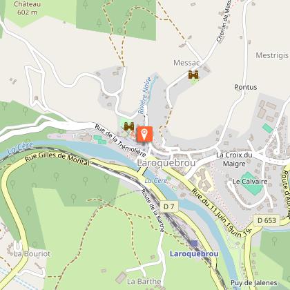 Western green lizard