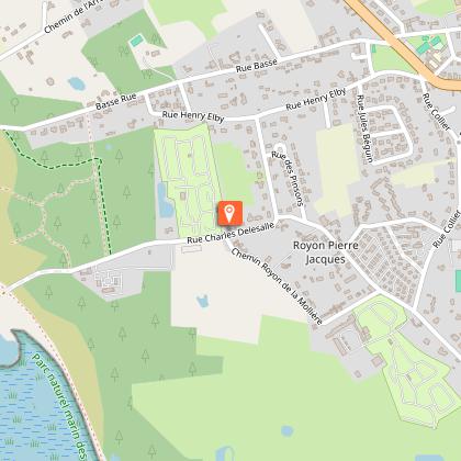 Passe-pierre et salicorne