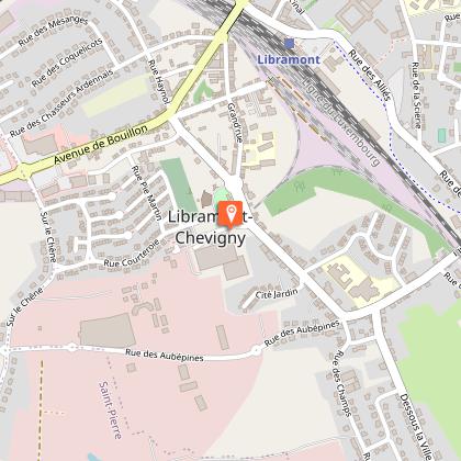 Découverte du Musée des Celtes