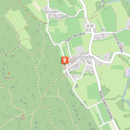 Exhibition space at the Caveau Bugiste