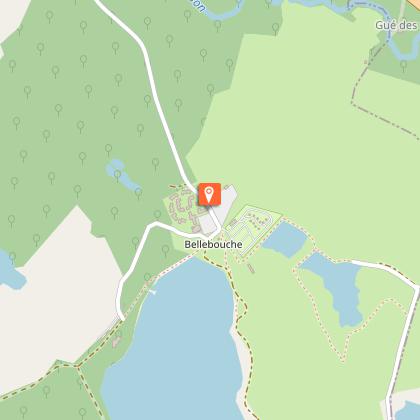 Identifier des plantes aquatiques et des zones humides