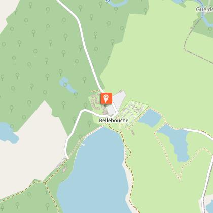 identifier et connaître la flore