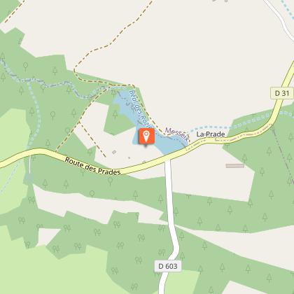 Picnic area - Plan d'Eau Béal des Roziers