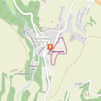 Micropolis, la cité des insectes