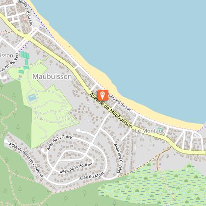 Monsieur Didier CHEM