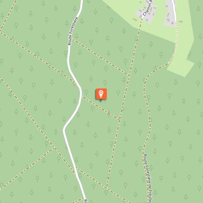 La Forêt domaniale d’Eawy