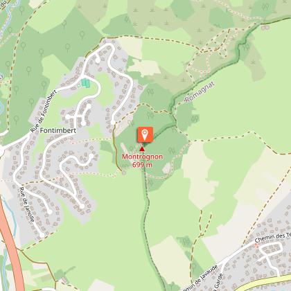 Château de Montrognon