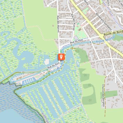 Bungy Family : Trampo-élastiques