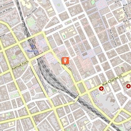 Chambre d'hôtes Au Coeur de Nancy B&B