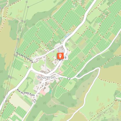 La demeure des lions