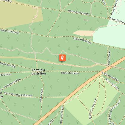 Guided tour in the forest