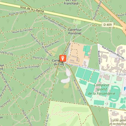 Guided tour - wild animals in the forest of Fontainebleau