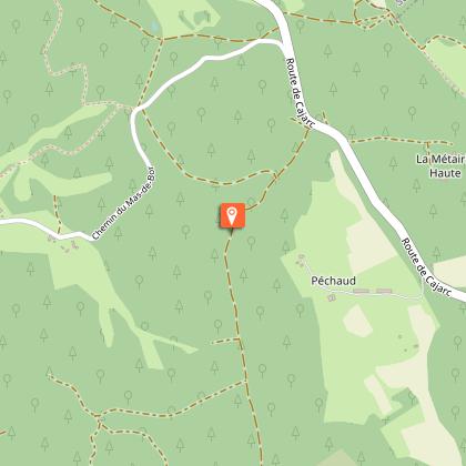 Forêt départementale et conifères