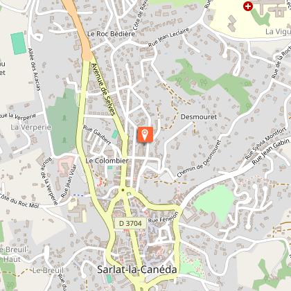 Les Lilas, vaste appartement à Sarlat