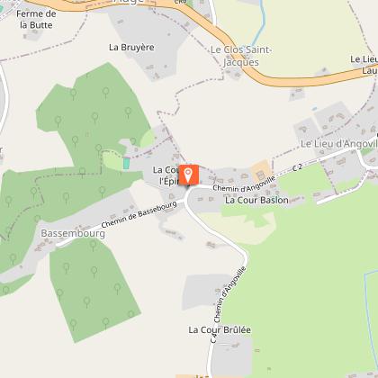 Jamais sans mes patounes -"Le Terrier"