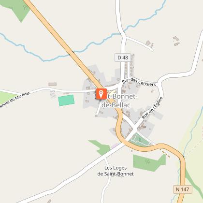 Le nid du petit Martinet