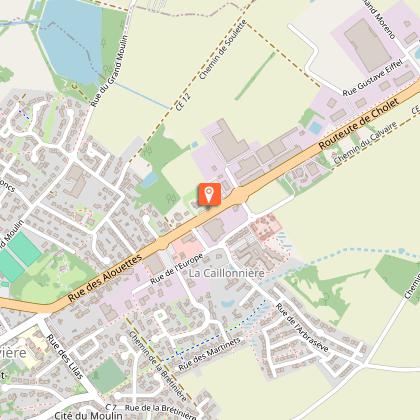 FUCK NORRIS ROCK SHOW - festival