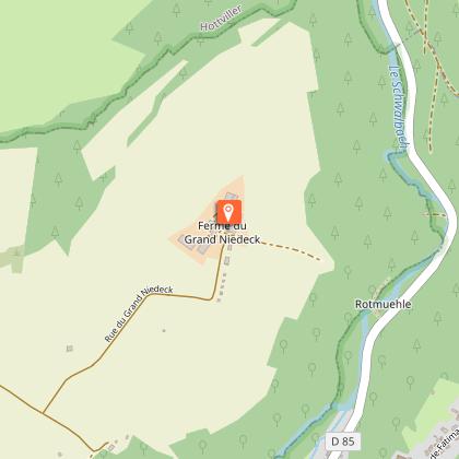 Buffalo ranch safari