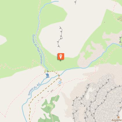 The Alpine ibex of L’Alpe du Lauzet