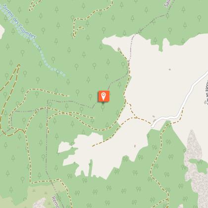 Forêt domaniale de la Moyenne Durance