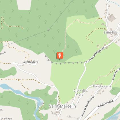 Genévrier thurifère