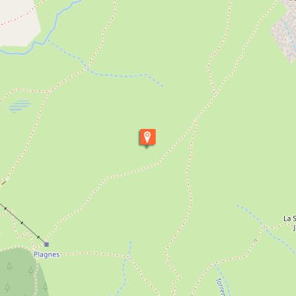 From legend to healing properties...