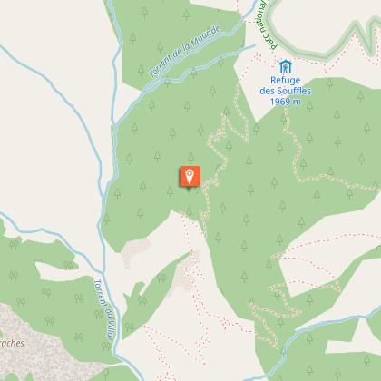 Sheep on the mountain pasture