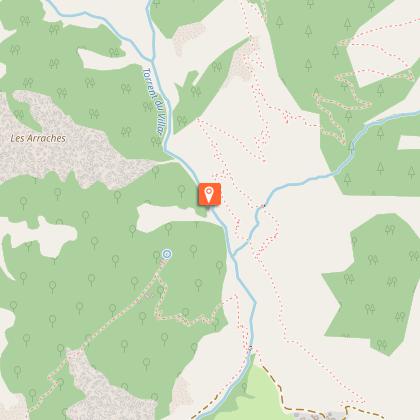 Butterflies and other insects