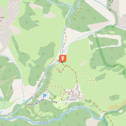 Chocard à bec jaune