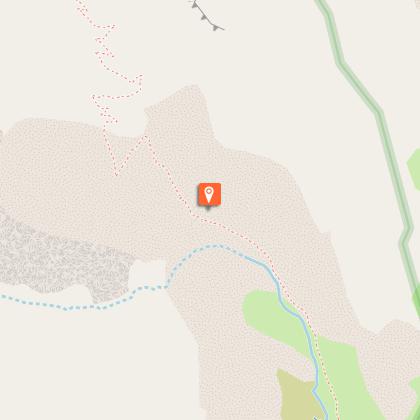 Small Tortoiseshell Butterfly