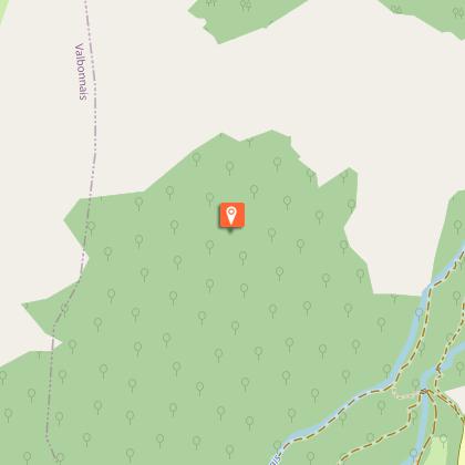 The short-toed snake eagle