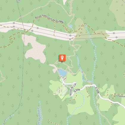 Le Chardonneret élégant