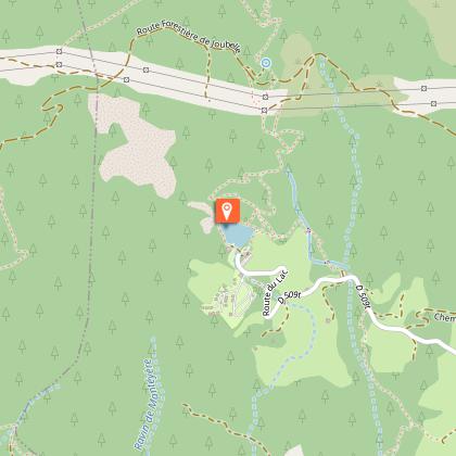 Écrevisses à pieds blancs